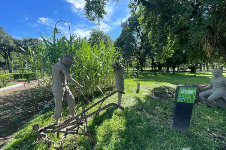 multimedia.grande.808e820dd850727a.Z3JhbmRlLndlYnA=