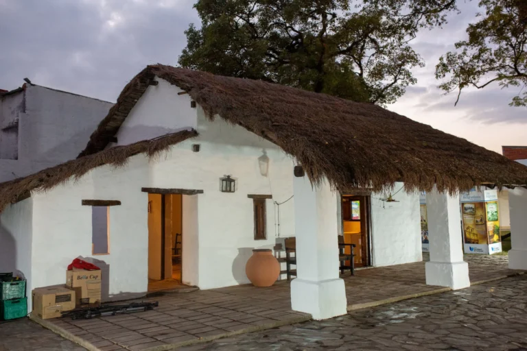 multimedia.grande.ae72e063c394838b.QmVsZ3Jhbm8gMV9ncmFuZGUud2VicA==