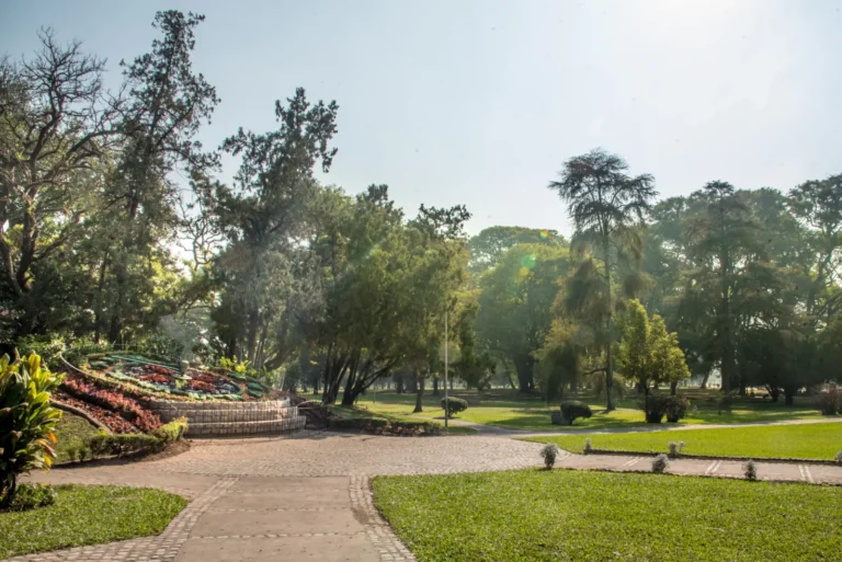 multimedia.grande.b2a49f87a4935426.Z3JhbmRlLndlYnA=