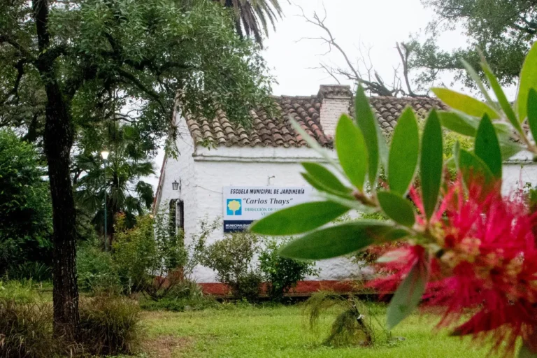 multimedia.normal.8f22b2bb1649bd4a.SmFyZGluZXJpzIFhIDJfbm9ybWFsLndlYnA=