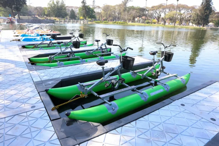 multimedia.normal.9fe5e71b671a79a7.bm9ybWFsLndlYnA=